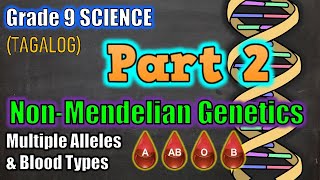 NonMendelian Genetics Multiple Alleles amp Blood Types Gr 9 Tagalog [upl. by Atteuqram]