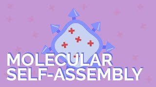 What is molecular selfassembly [upl. by Chrissy415]