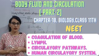 Coagulation of Blood  Lymph  Circulatory Pathways  Human Circulatory System [upl. by Marentic]