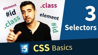 CSS Tutorial — Selectors Element Class and ID 313 [upl. by Tihom]