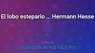 Audiolibro completo El lobo estepario por Hermann Hesse [upl. by Atil971]