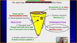 perineural tumor spread in ped head and neck cancer FOR ALEX [upl. by Imyaj103]