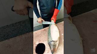 Cleaning the Grass carp fish skin with a knife [upl. by Redneval247]