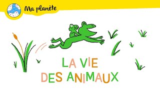 La vie des animaux expliquée aux enfants  Ma Planète 16 [upl. by Esyli136]