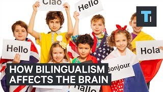 A neuroscientist explains how being bilingual makes your brain more robust [upl. by Clayson]