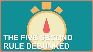 Five Second Rule Debunked [upl. by Emee]