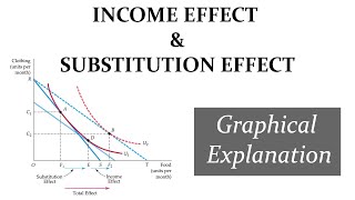 Income and Substitution Effect Graphical Explanation [upl. by Haneeja]