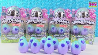 Sparkly Spring Hatchimals CollEGGtibles Target Exclusive 2 Packs Surprise Egg Toy Review  PSToyRevi [upl. by Hadihahs724]