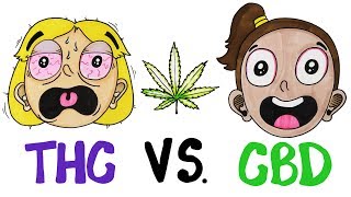 THC vs CBD Whats In Your Weed [upl. by Alidia192]