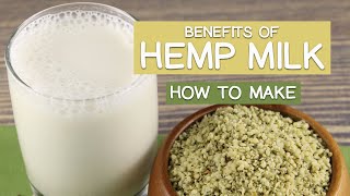 Benefits of Hemp Milk 2 Reasons to Drink It  Plus How to Make [upl. by Arihsat764]