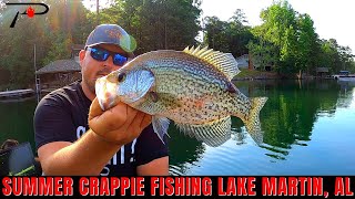 Crappie Fishing In The Winter  Catch 10X MORE Crappie [upl. by Hedva]