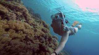 Balicasag island 巴里卡薩大斷層 自由潛水 GOPRO HERO4 BLACK [upl. by Bezanson175]