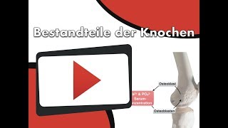 Bestandteile der Knochen clipdocsde [upl. by Enowtna]