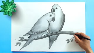 BIRD DRAWING  How to Draw Parrots Love Bird Drawing Easy Bird Pencil Drawing [upl. by Nabois]