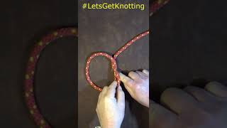 How to Tie the Artillery Loop Knot Shorts [upl. by Yerga]