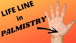 Life Line in Palmistry [upl. by Ahsikat]