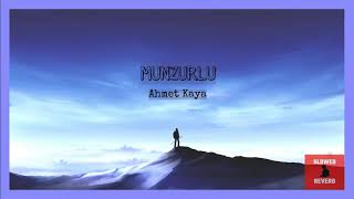 ahmet kaya  munzurlu slowed and reverb [upl. by Okihcim]