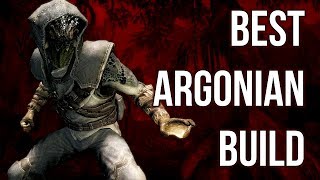 The Wanderer  Best Argonian Build  Skyrim Builds [upl. by January]