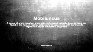 Medical vocabulary What does Mobiluncus mean [upl. by Eldrid660]