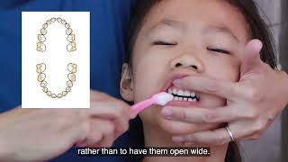 Parents’ Guide to Toothbrushing and Flossing for Children ages 36 years old [upl. by Anavlis]