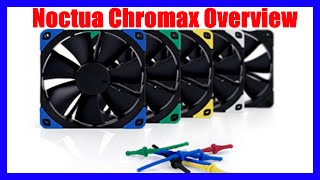 Noctua Chromax Overview [upl. by Aimekahs]