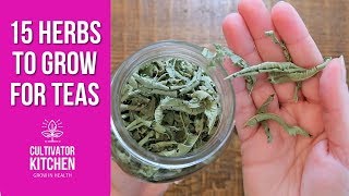 15 Herbs I Grow for Teas Frugal Healthy Living 🌿 [upl. by Bodrogi]