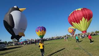 albuquerque internationalballoonfestival 102024 balloon Fiesta landing at local park [upl. by Aihtnys938]