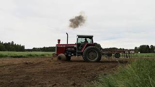 Massey Ferguson 2805 cultivating [upl. by Jeana342]