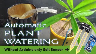 Automatic Plant watering system without Arduino [upl. by Airdnas853]