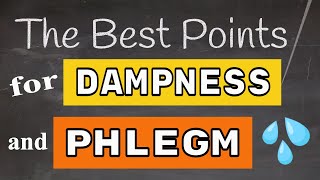 Best Acupuncture Points for Dampness amp Phlegm [upl. by Joanie785]