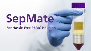 How SepMate™ PBMC Isolation Tubes Work From Whole Blood to PBMCs in 15 Minutes [upl. by Tempest]