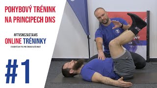 Online tréninky  1 Pohybový trénink na principech DNS  13 [upl. by Udelle252]