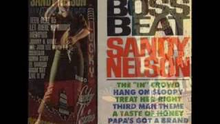 Sandy Nelson  Teen Beat [upl. by Albion]