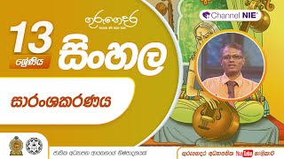 සාරංශකරණය  13 ශ්‍රේණිය සිංහල [upl. by Aihsened]