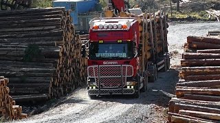 Scania R500 Timber Truck \8 Sound [upl. by Limaa]