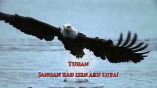 Fynn Jamal  Terbang Tunduk lyric [upl. by Carling232]