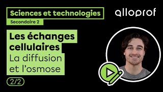 Les échanges cellulaires 22  Sciences et technologies  Alloprof [upl. by Keviv]