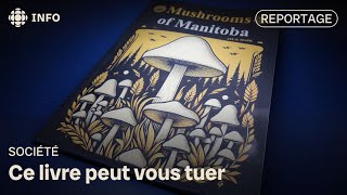 Un livre écrit par lIA qui pourrait être dangereux [upl. by Rahcir]