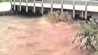 The Great Flood 1985 West Virginia [upl. by Ennailuj289]