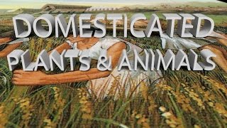 HIST 1121 Lesson 9  Domesticated Plants amp Animals [upl. by Jevon]