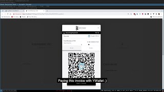 BTCPay Integration [upl. by Ahens]