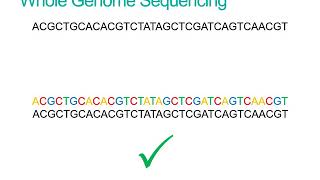 What is Whole Genome Sequencing [upl. by Coniah313]