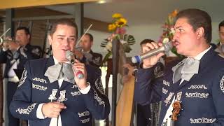 MARIACHI NUEVO TECALITLÁN LAS MAÑANITAS A LA MUJER MÁS ESPECIAL [upl. by Furlong]