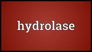 Hydrolase Meaning [upl. by Salocin]