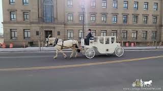 Bride and groom enjoy a royal ride to their picture location – Horse Drawn Carriage – Royal Coach 9 [upl. by Meekah]