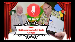 Prof Csikszentmihalyi versus Google [upl. by Alohs]