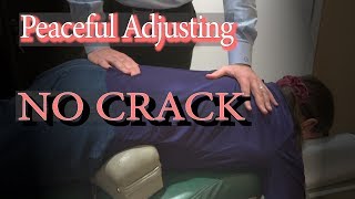 Chiropractic Adjustment  Gentle No Cracks [upl. by Nennerb163]