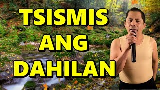 TSISMIS ANG DAHILAN Parody of Ikaw Ang Dahilan  Alexander Barut [upl. by Llennyl]