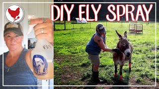 How to get rid of flies in backyard  fly control outside [upl. by Harv]