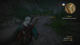 The Witcher 3 Find Eskel and Help Him Hunt the Forktail [upl. by Brackely]